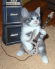 anim176220mobildesign.atw.hu_0147.gif